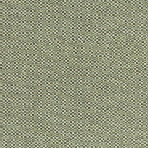 G P & J BAKER - HOPTON- GREEN - Fabric by the Yard GREEN