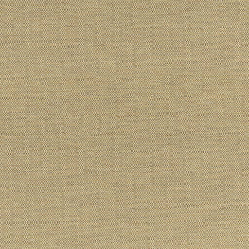 G P & J BAKER - HOPTON- OCHRE - Fabric by the Yard OCHRE
