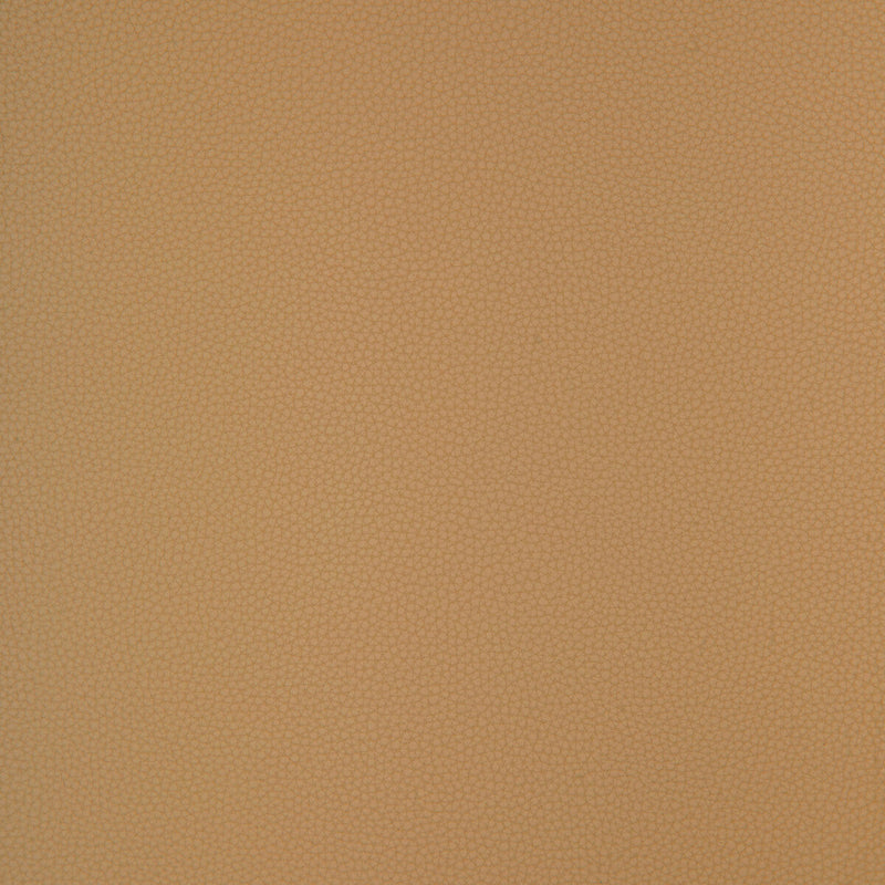 KRAVET DESIGN - KRAVET DESIGN- BIND-116 - Fabric by the Yard BIND-116