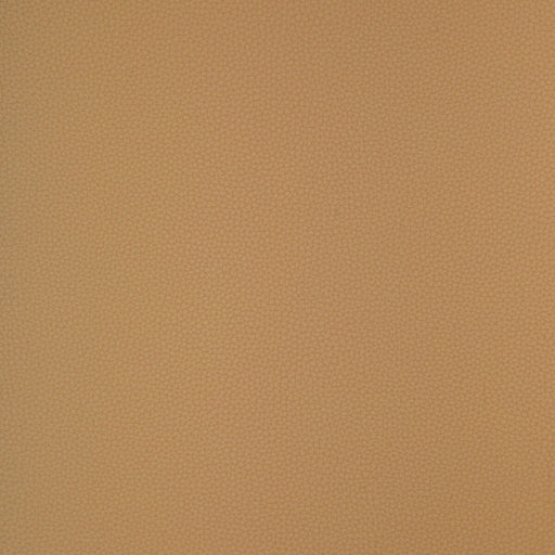 KRAVET DESIGN - KRAVET DESIGN- BIND-116 - Fabric by the Yard BIND-116