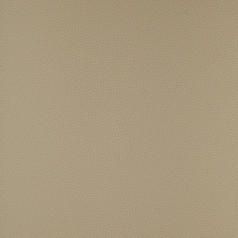 KRAVET DESIGN - KRAVET DESIGN- BIND-11 - Fabric by the Yard BIND-11