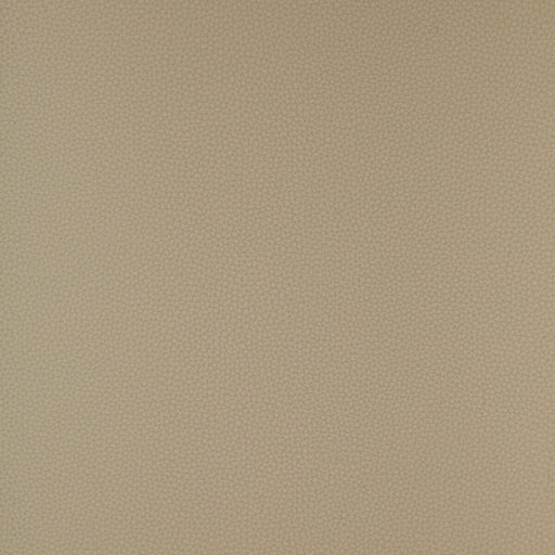 KRAVET DESIGN - KRAVET DESIGN- BIND-11 - Fabric by the Yard BIND-11