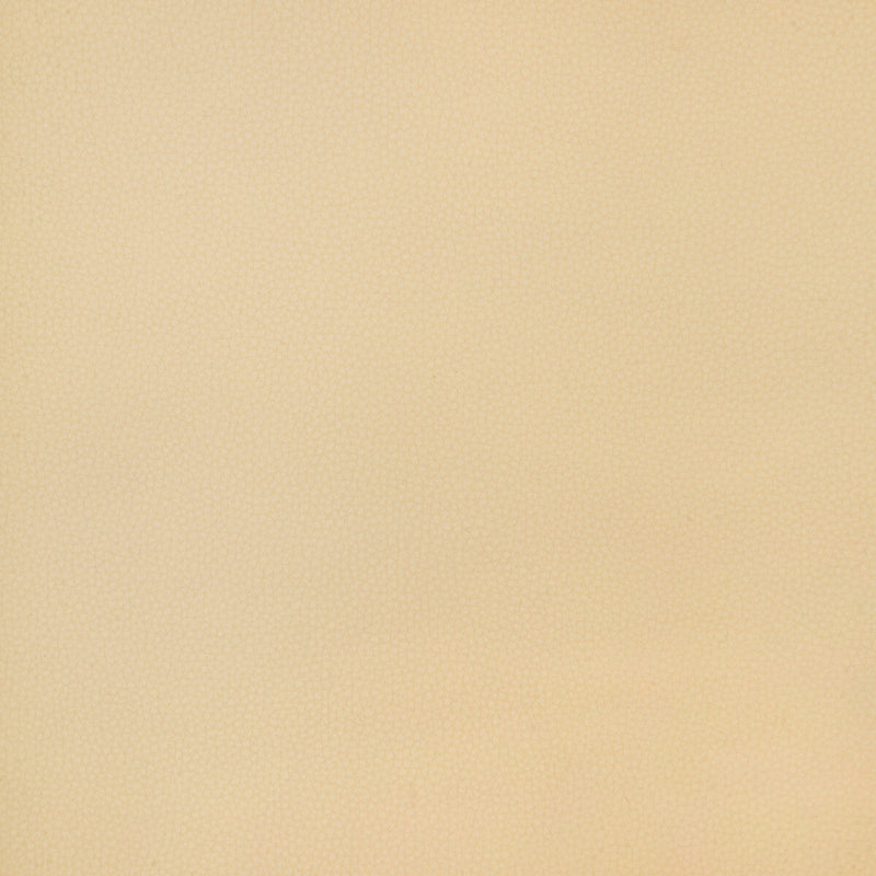 KRAVET DESIGN - KRAVET DESIGN- BIND-16 - Fabric by the Yard BIND-16