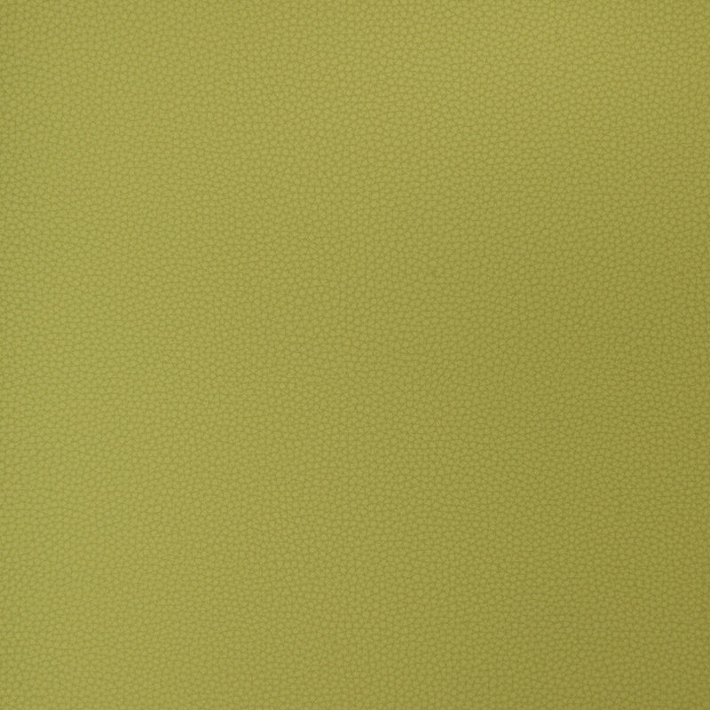 KRAVET DESIGN - KRAVET DESIGN- BIND-23 - Fabric by the Yard BIND-23