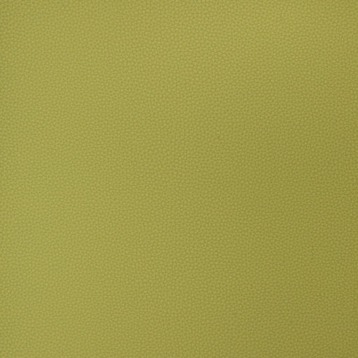 KRAVET DESIGN - KRAVET DESIGN- BIND-23 - Fabric by the Yard BIND-23