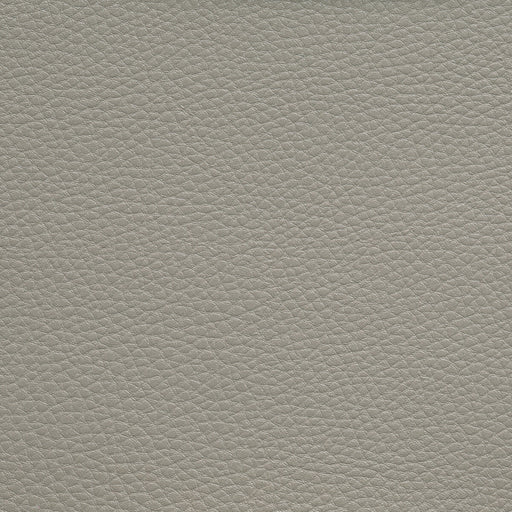 KRAVET CONTRACT - BOONE- CHINCHILLA - Fabric by the Yard CHINCHILLA