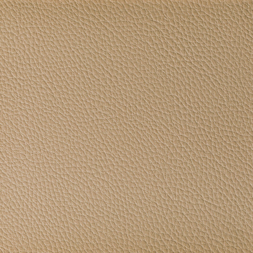 KRAVET CONTRACT - BOONE- DUNE - Fabric by the Yard DUNE