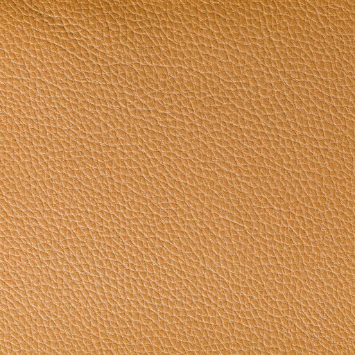 KRAVET CONTRACT - BOONE- BUCK - Fabric by the Yard BUCK