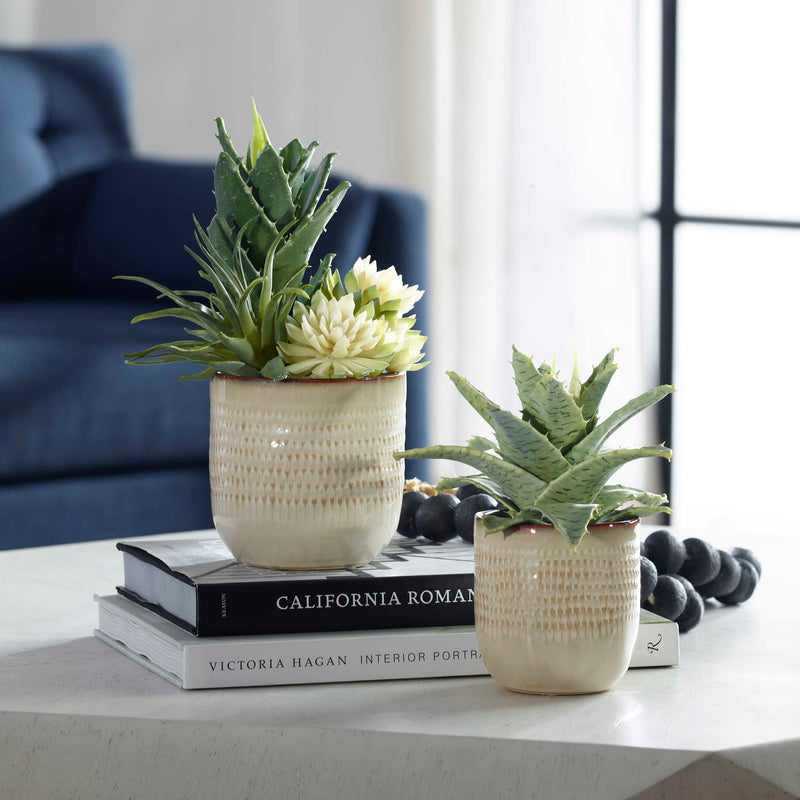 Uttermost Seaside Succulents Set/2