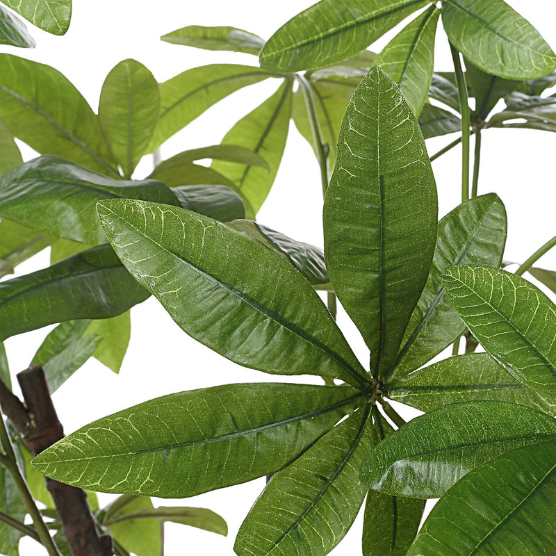 Uttermost Pachira Money Tree