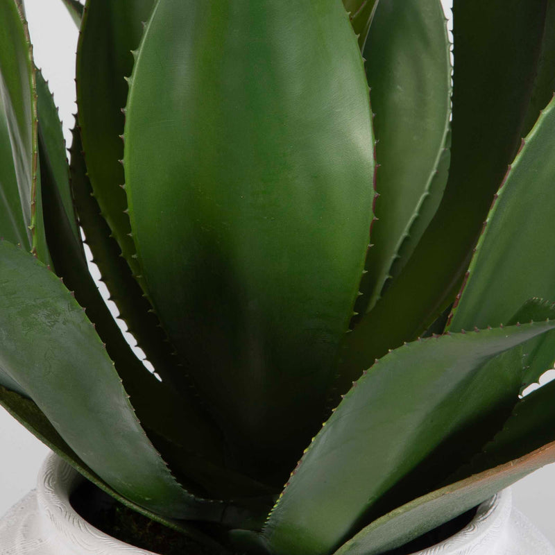 Uttermost Tierra Agave Centerpiece With Vase