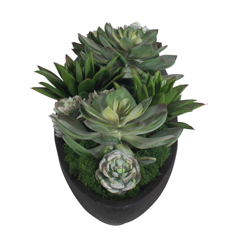 Uttermost Verde Succulent Centerpiece In Bowl