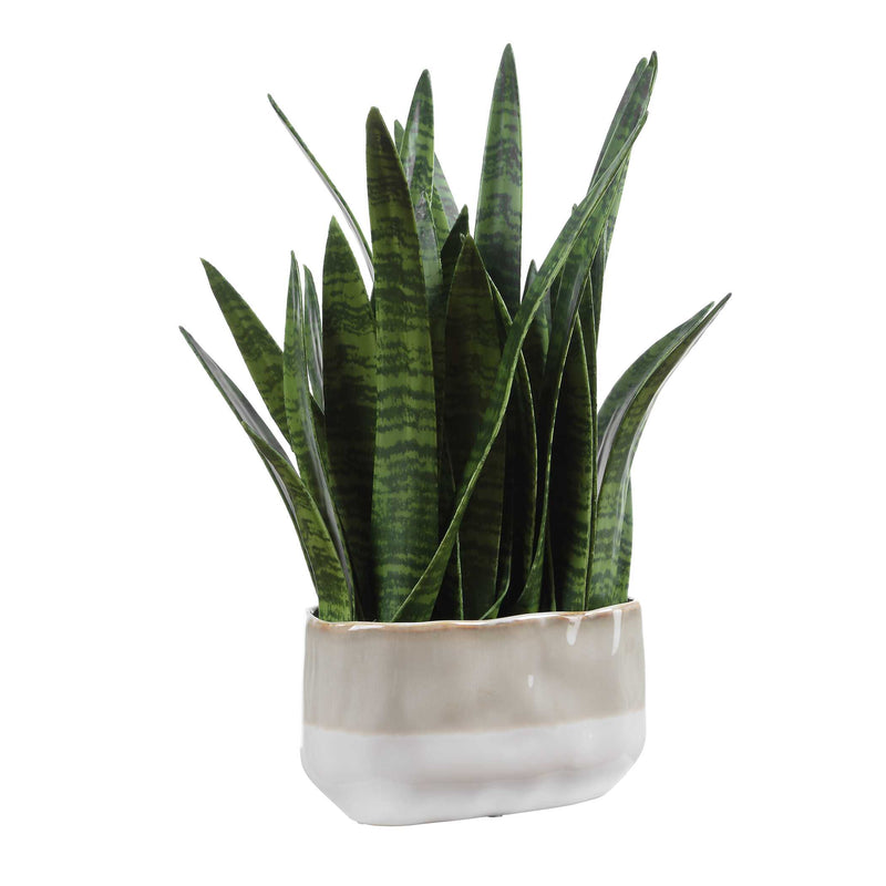 Uttermost Sansera Snake Accent Plant