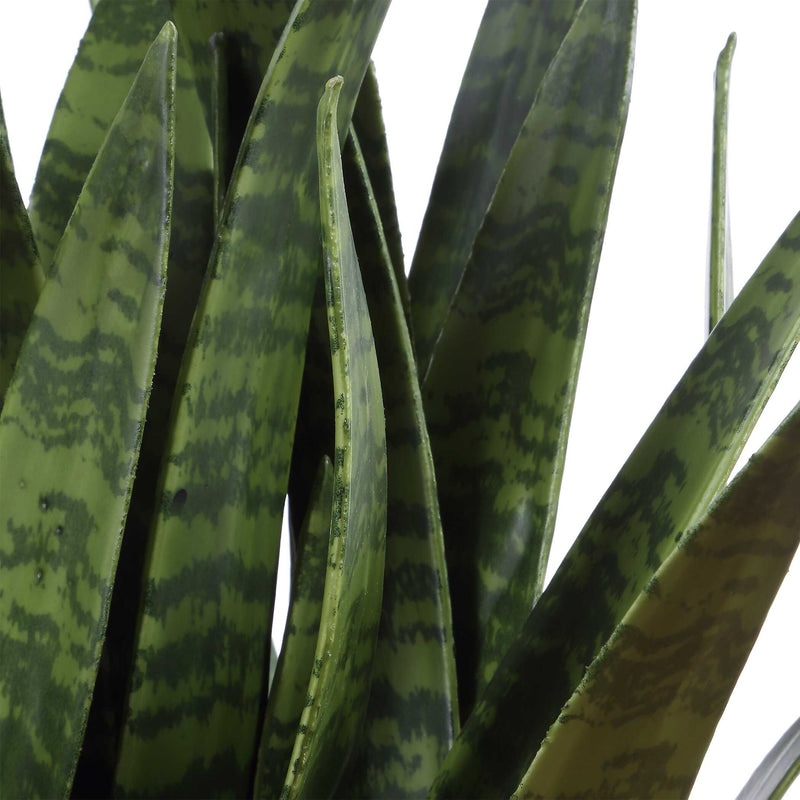 Uttermost Sansera Snake Accent Plant