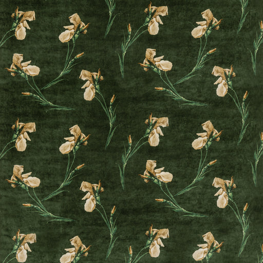 G P & J BAKER - BAKER IRIS- EMERALD - Fabric by the Yard EMERALD