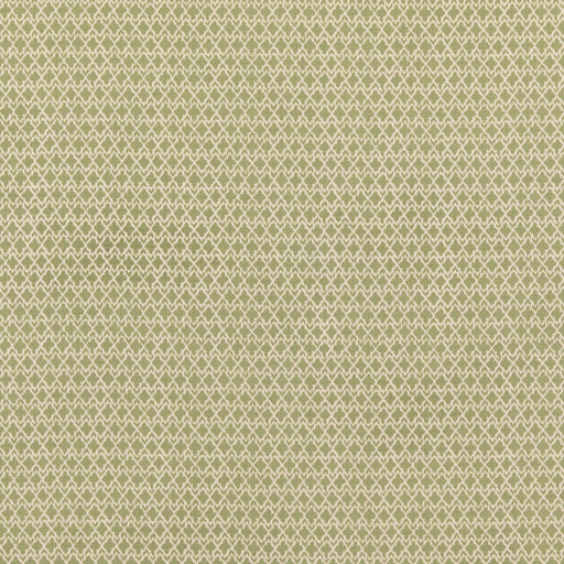 G P & J BAKER - MERRIN- GREEN - Fabric by the Yard GREEN