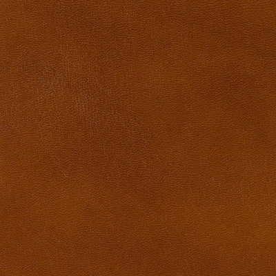 BRUNSCHWIG & FILS - OLD ENGLISH ANTIQUES LEATHER- BRANDY - Fabric by the SQUARE FOOT - BR-20009_839