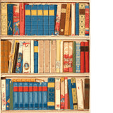 BRUNSCHWIG & FILS - BIBLIOTHEQUE - RED/BLUE - Wallpaper By The ROLL