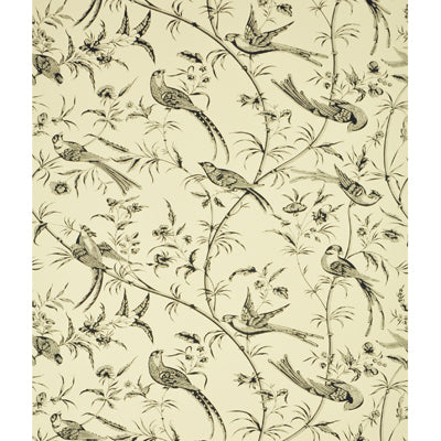 BRUNSCHWIG & FILS - BENGALI- BLACK - Wallcovering by the Roll - BR-69135_970