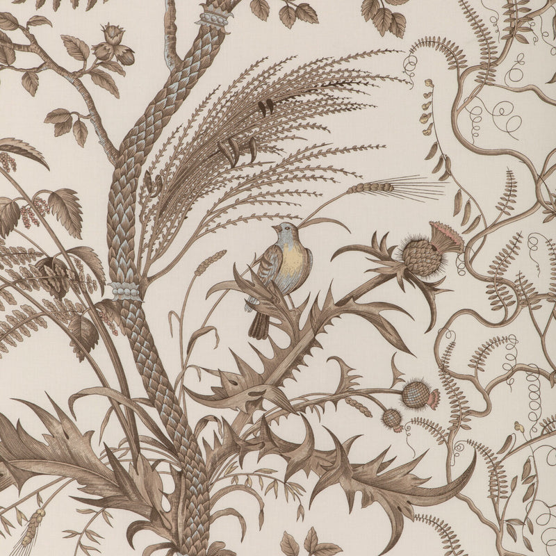 BRUNSCHWIG & FILS - BIRD AND THISTLE COTTON PRINT- BEIGE - Fabric by the Yard BEIGE