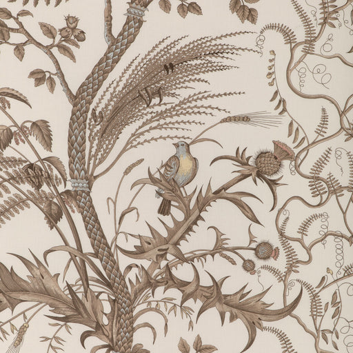 BRUNSCHWIG & FILS - BIRD AND THISTLE COTTON PRINT- BEIGE - Fabric by the Yard BEIGE