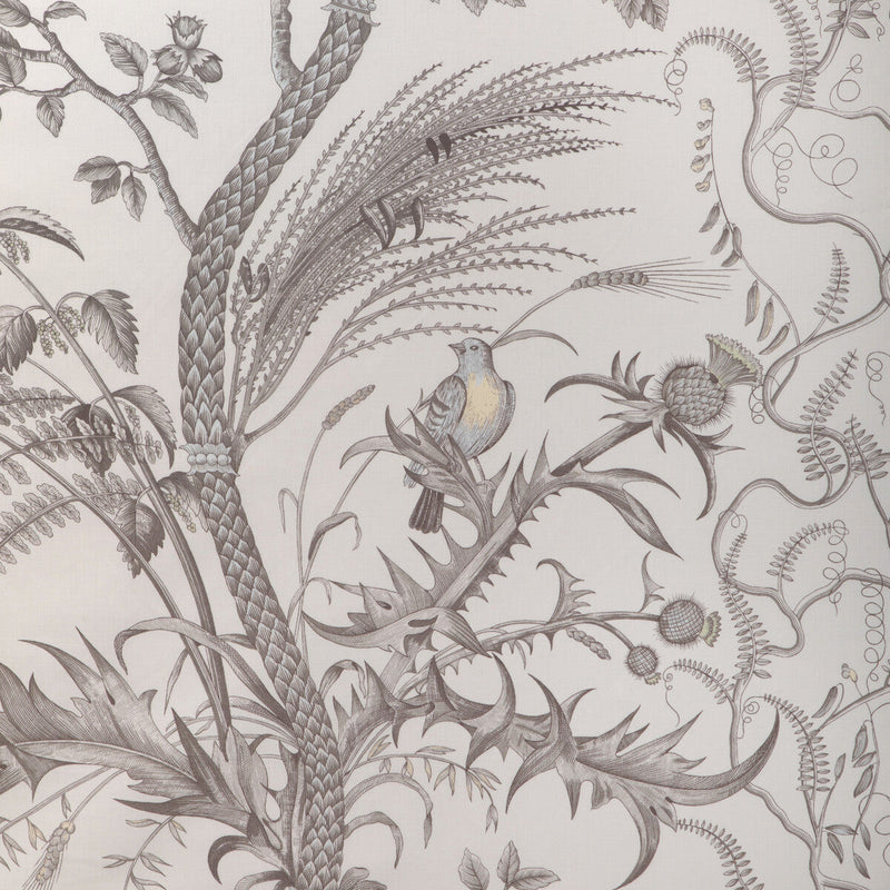 BRUNSCHWIG & FILS - BIRD AND THISTLE COTTON PRINT- GRAY - Fabric by the Yard GRAY