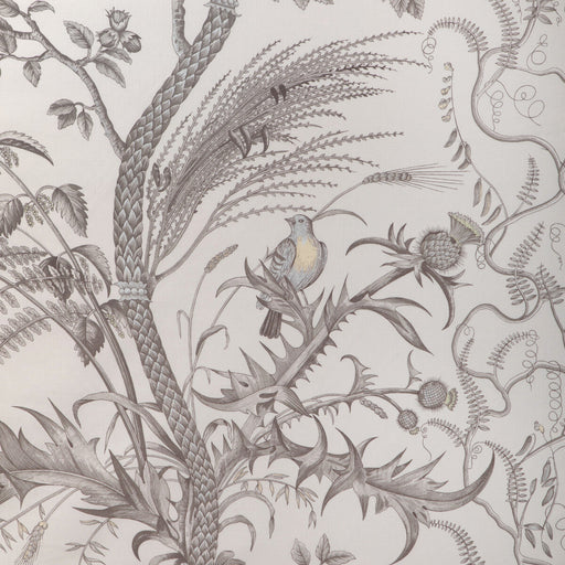 BRUNSCHWIG & FILS - BIRD AND THISTLE COTTON PRINT- GRAY - Fabric by the Yard GRAY