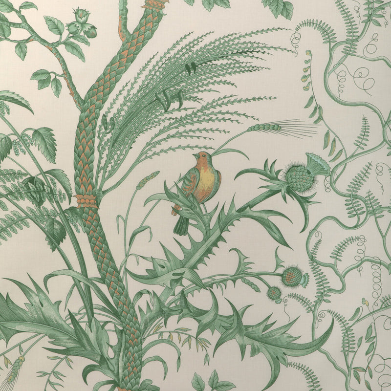 BRUNSCHWIG & FILS - BIRD AND THISTLE COTTON PRINT- GREEN - Fabric by the Yard GREEN