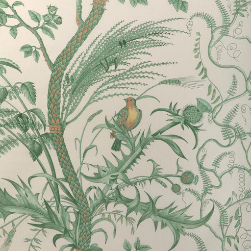BRUNSCHWIG & FILS - BIRD AND THISTLE COTTON PRINT- GREEN - Fabric by the Yard GREEN