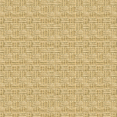 BRUNSCHWIG & FILS - REED TEXTURE- LINEN - Fabric by the Yard - BR-800043_052
