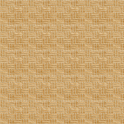 BRUNSCHWIG & FILS - REED TEXTURE- BISCUIT - Fabric by the Yard - BR-800043_063