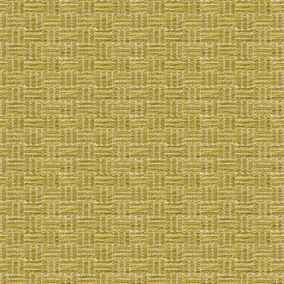 BRUNSCHWIG & FILS - REED TEXTURE- LICHEN - Fabric by the Yard - BR-800043_405