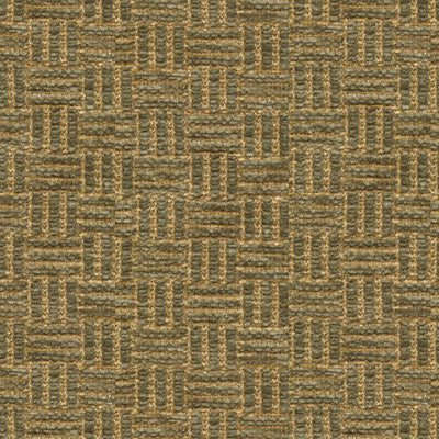 BRUNSCHWIG & FILS - REED TEXTURE- HERB - Fabric by the Yard - BR-800043_447