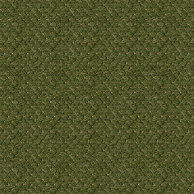 BRUNSCHWIG & FILS - SOLITAIRE TEXTURE- AVOCADO - Fabric by the Yard - BR-800045_434