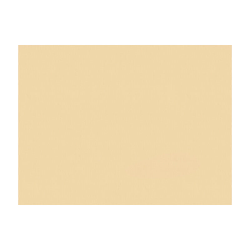 BRUNSCHWIG & FILS - SATIN LA TOUR- CHAMPAGNE - Fabric by the Yard CHAMPAGNE