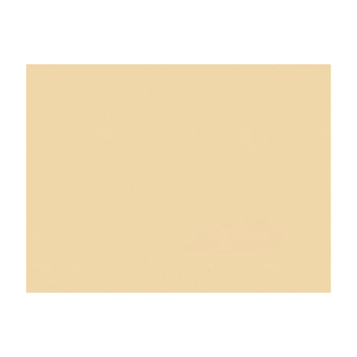 BRUNSCHWIG & FILS - SATIN LA TOUR- CHAMPAGNE - Fabric by the Yard CHAMPAGNE