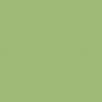 BRUNSCHWIG & FILS - SATIN LA TOUR- VERT - Fabric by the Yard - BR-81079_LLS