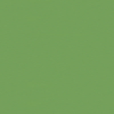 BRUNSCHWIG & FILS - SATIN LA TOUR- VERT - Fabric by the Yard - BR-81079_Y