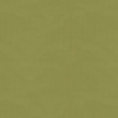 BRUNSCHWIG & FILS - NINON TAFFETAS- FERN - Fabric by the Yard - BR-81081_489