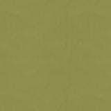 BRUNSCHWIG & FILS - NINON TAFFETAS- FERN - Fabric by the Yard