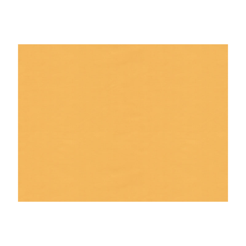 BRUNSCHWIG & FILS - NINON TAFFETAS- JAUNE - Fabric by the Yard JAUNE