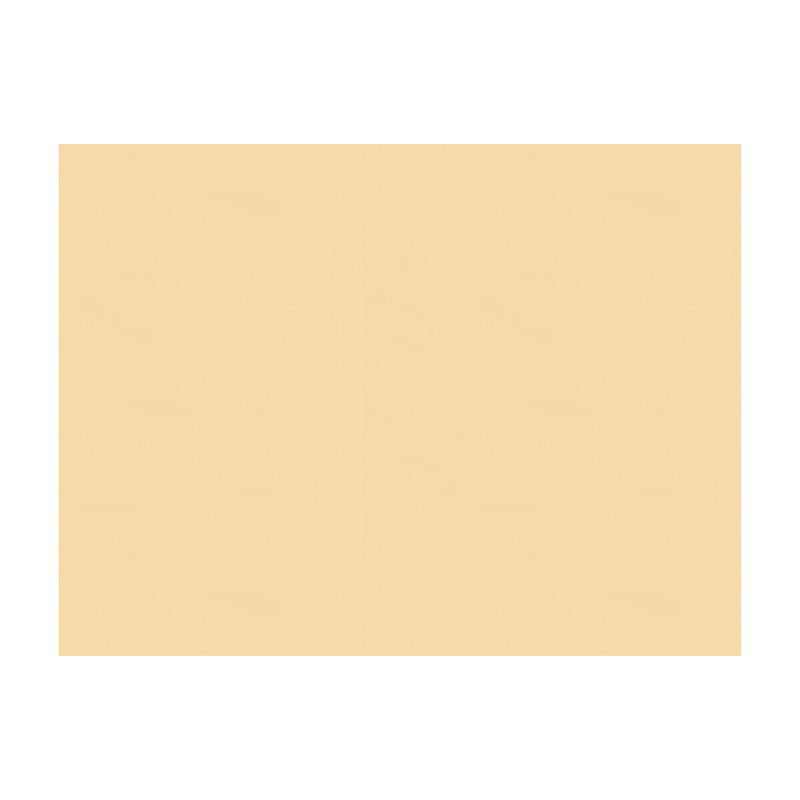 BRUNSCHWIG & FILS - NINON TAFFETAS- BEIGE - Fabric by the Yard BEIGE