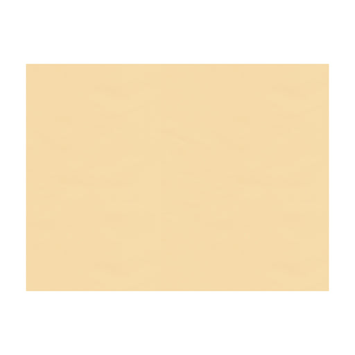 BRUNSCHWIG & FILS - NINON TAFFETAS- BEIGE - Fabric by the Yard BEIGE