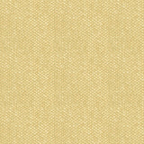 BRUNSCHWIG & FILS - YORKE CHENILLE- SAND - Fabric by the Yard