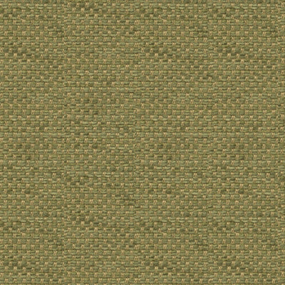 BRUNSCHWIG & FILS - YORKE CHENILLE- MOSS - Fabric by the Yard - BR-81782_406