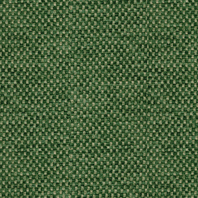BRUNSCHWIG & FILS - YORKE CHENILLE- FOREST - Fabric by the Yard - BR-81782_488
