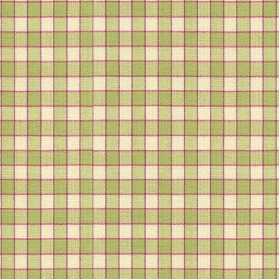 BRUNSCHWIG & FILS - LA SEYNE CHECK- APPLE - Fabric by the Yard - BR-89318_3