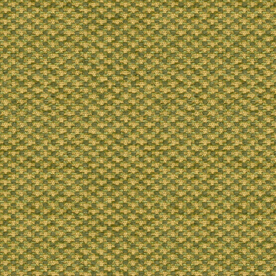 BRUNSCHWIG & FILS - SPENCER SILK CHENILLE- LEAF - Fabric by the Yard - BR-89474_432