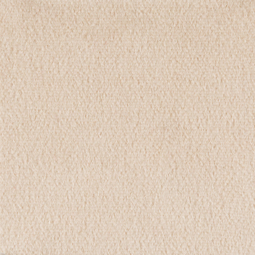 BRUNSCHWIG & FILS - AUTUN MOHAIR VELVET- CHAMPAGNE - Fabric by the Yard CHAMPAGNE
