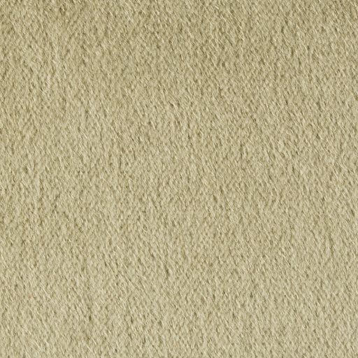 BRUNSCHWIG & FILS - AUTUN MOHAIR VELVET- EUCALYPTUS - Fabric by the Yard EUCALYPTUS